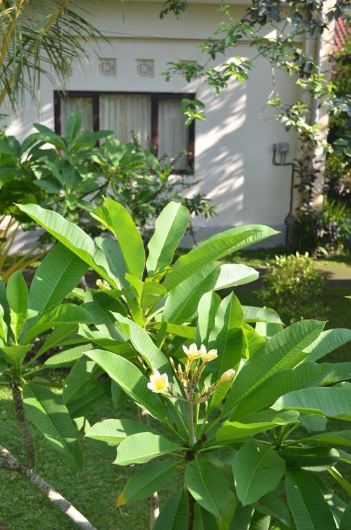 Wijaya Guest House Ubud Exterior photo