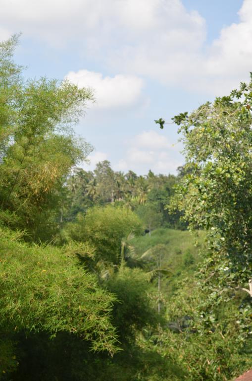 Wijaya Guest House Ubud Exterior photo